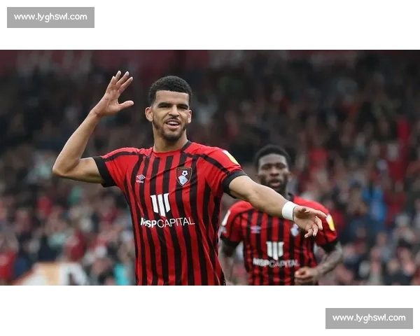 斯旺西主场迎战布莱克本焦点对决前景深度解析英冠赛场形势全面透视